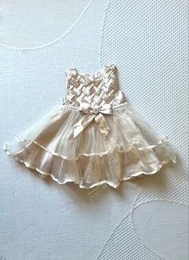 Rare Editions Champagne Basketweave Tulle Dress 18M